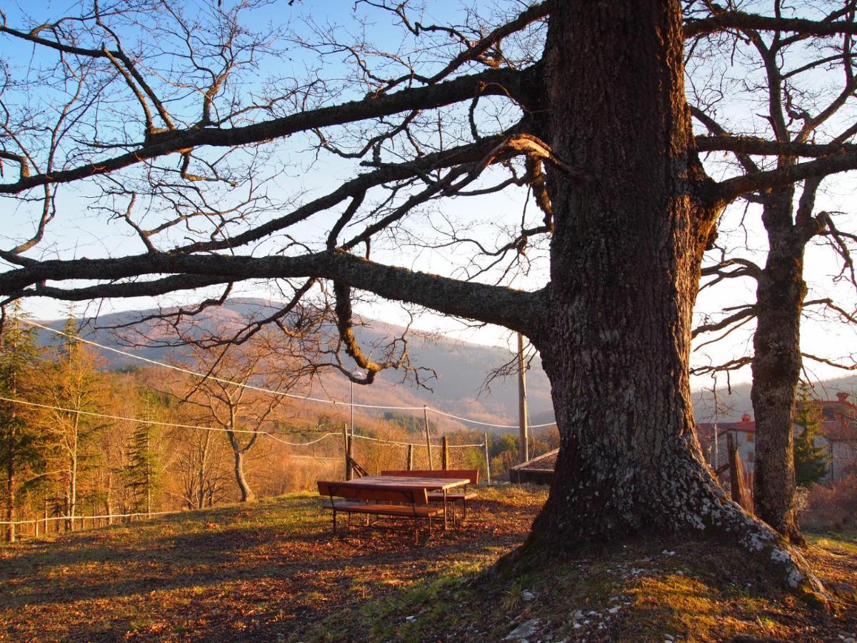 Agriturismo Vezzano К'юзі-делла-Верна Екстер'єр фото