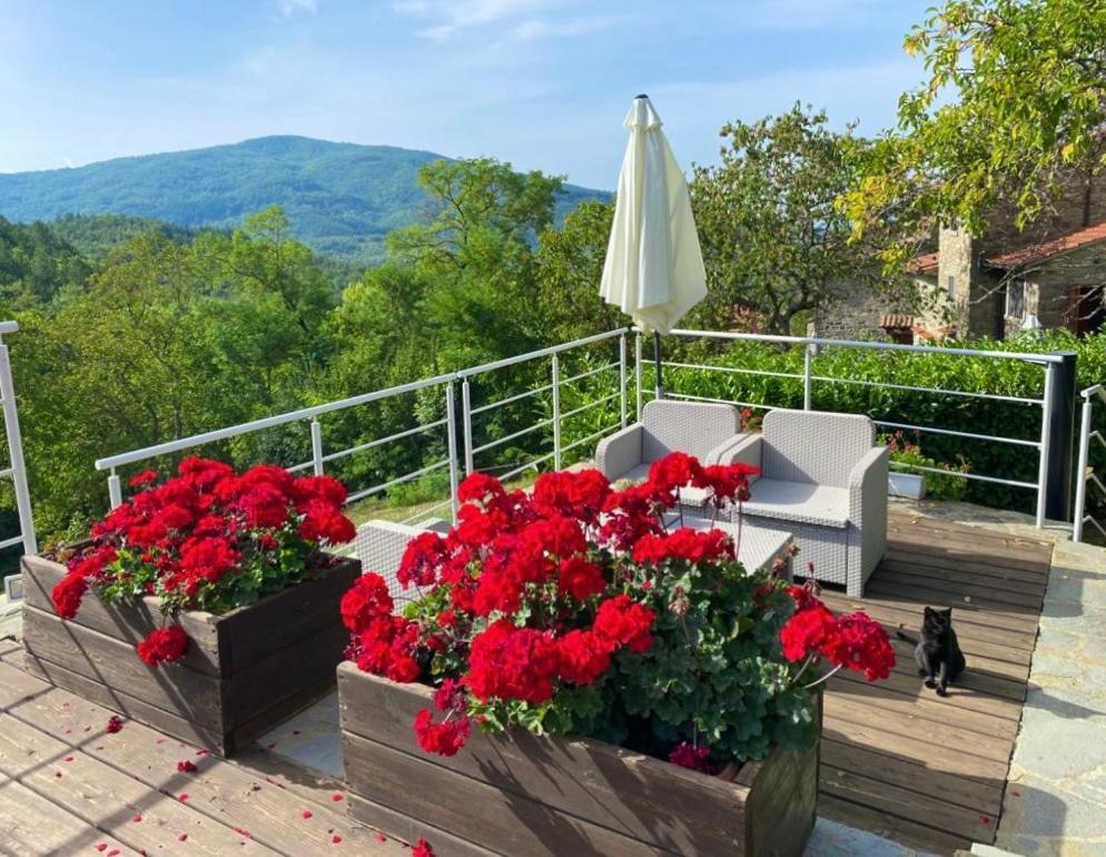 Agriturismo Vezzano К'юзі-делла-Верна Екстер'єр фото